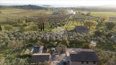Villa in vendita a Passignano sul Trasimen... - foto 7