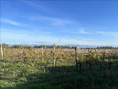 Rustico/Casale in vendita a Castiglione de... - foto 8