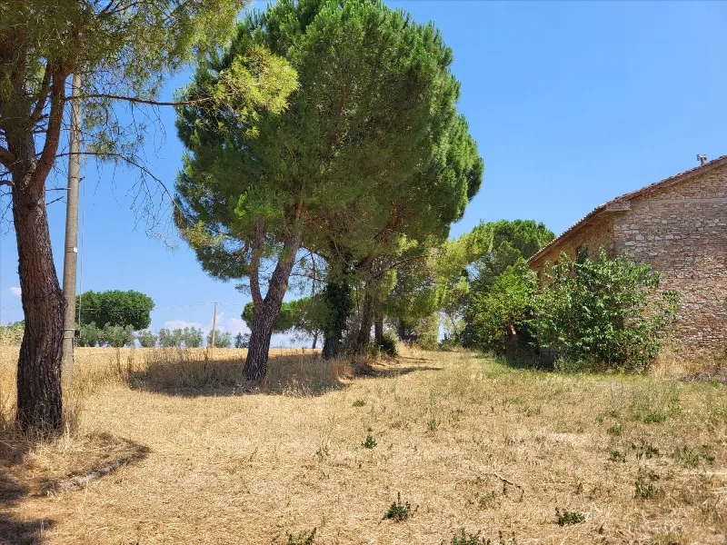 Rustico/Casale in vendita a Perugia - foto 10