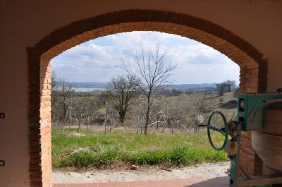 Rustico/Casale in vendita a Castiglione de... - foto 6
