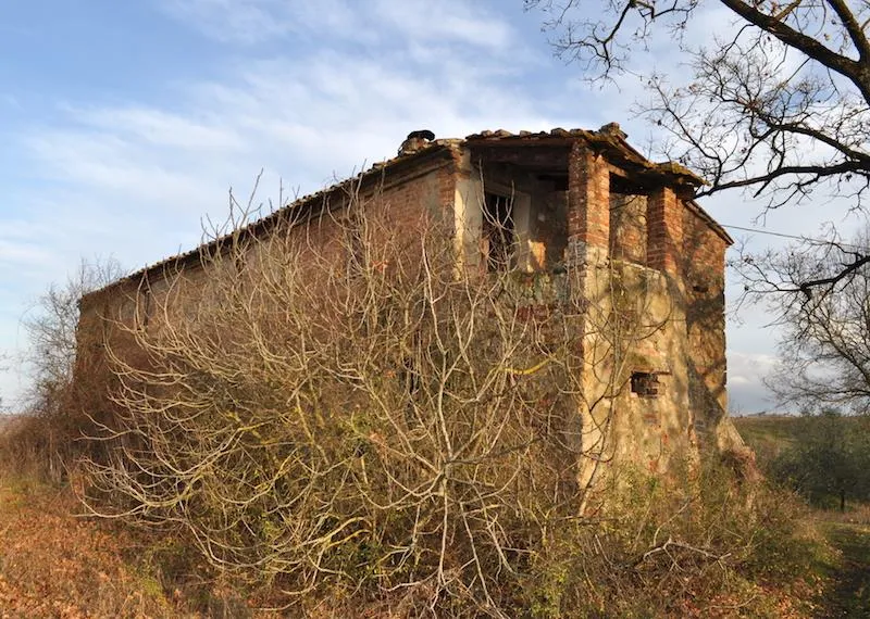 Rustico/Casale in vendita a Chiusi - foto 4