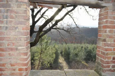 Rustico/Casale in vendita a Chiusi - foto 8