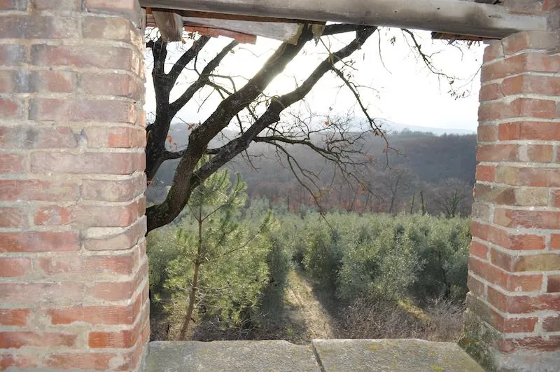 Rustico/Casale in vendita a Chiusi - foto 8