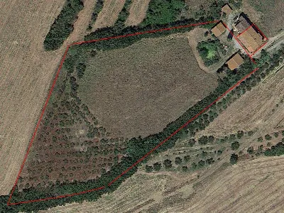 Rustico/Casale in vendita a Castiglione de... - foto 1