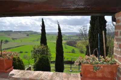 Rustico/Casale in vendita a Castiglione de... - foto 3