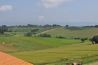 Rustico/Casale in vendita a Castiglione de... - foto 6