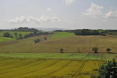Rustico/Casale in vendita a Castiglione de... - foto 7