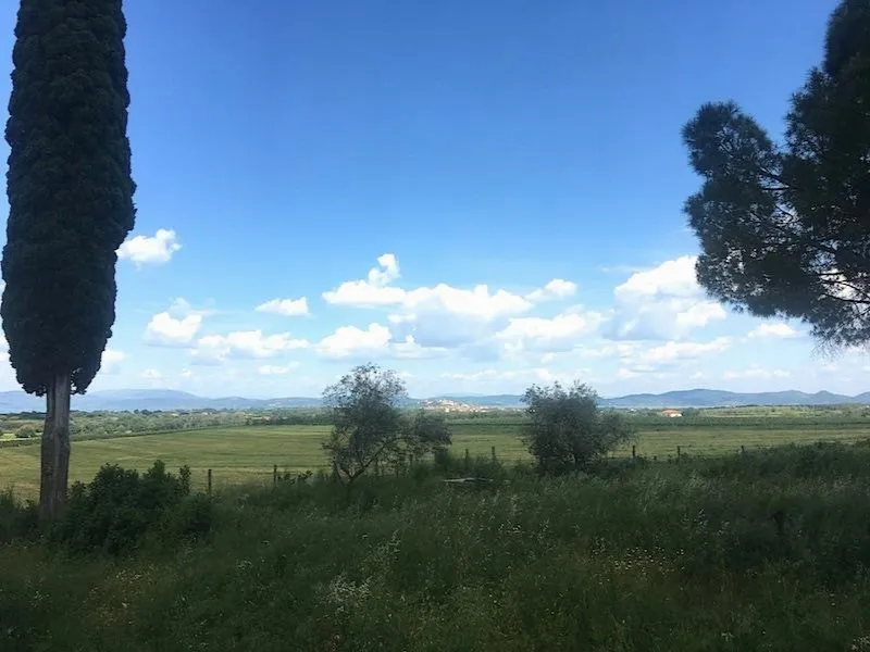 Rustico/Casale in vendita a Castiglione del Lago - foto 1