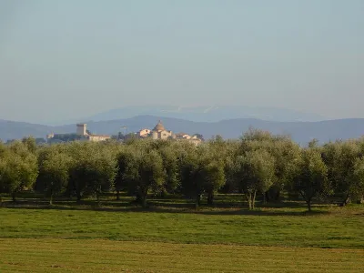 Rustico/Casale in vendita a Castiglione de... - foto 9