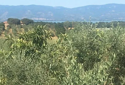 Casa Indipendente in vendita a Castiglione... - foto 10