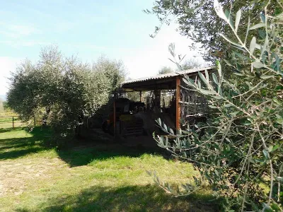 Casa Indipendente in vendita a Castiglione... - foto 8