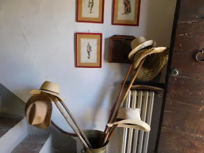 Rustico/Casale in vendita a Castiglione de... - foto 9