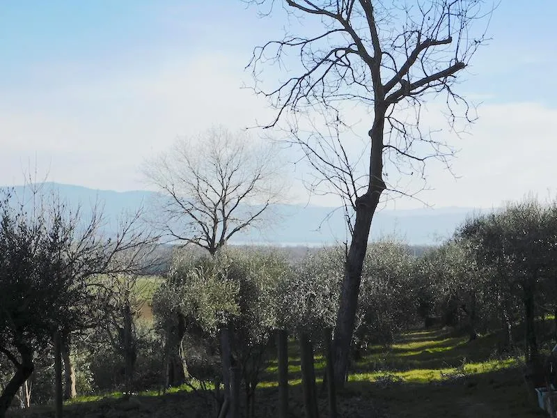 Rustico/Casale in vendita a Castiglione del Lago - foto 3