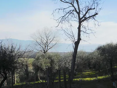 Rustico/Casale in vendita a Castiglione de... - foto 3