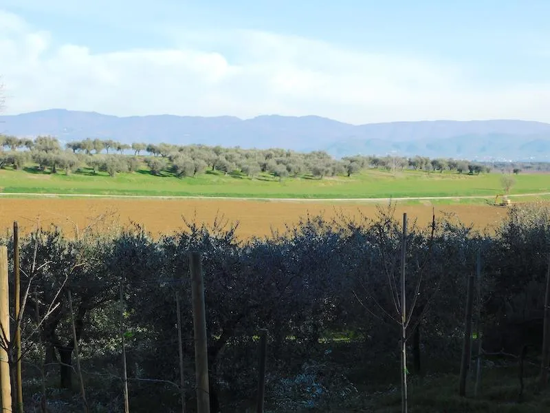 Rustico/Casale in vendita a Castiglione del Lago - foto 4