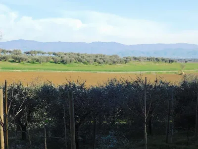 Rustico/Casale in vendita a Castiglione de... - foto 4