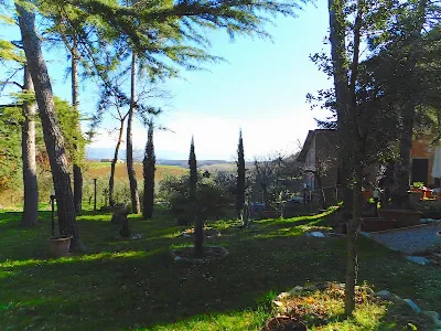 Rustico/Casale in vendita a Castiglione de... - foto 7