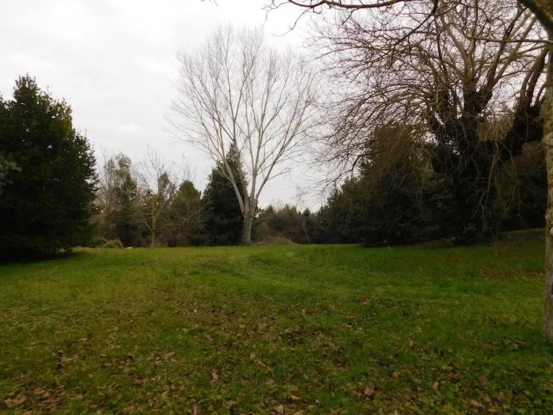 Rustico/Casale in vendita a Castiglione del Lago - foto 3