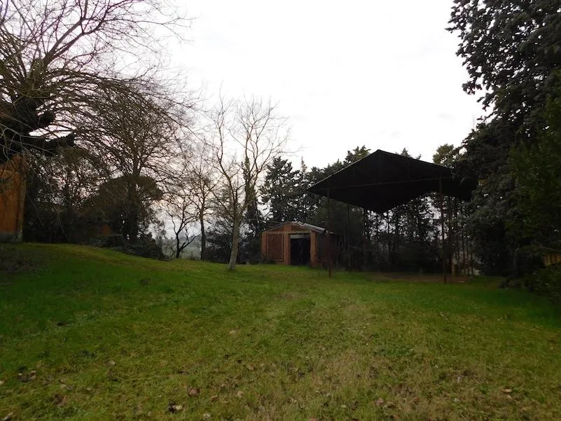 Rustico/Casale in vendita a Castiglione del Lago - foto 5
