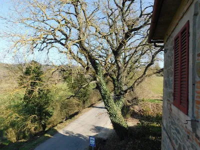 Casa Indipendente in vendita a Città della... - foto 6