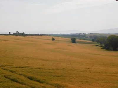 Appartamento in vendita a Castiglione del ... - foto 4