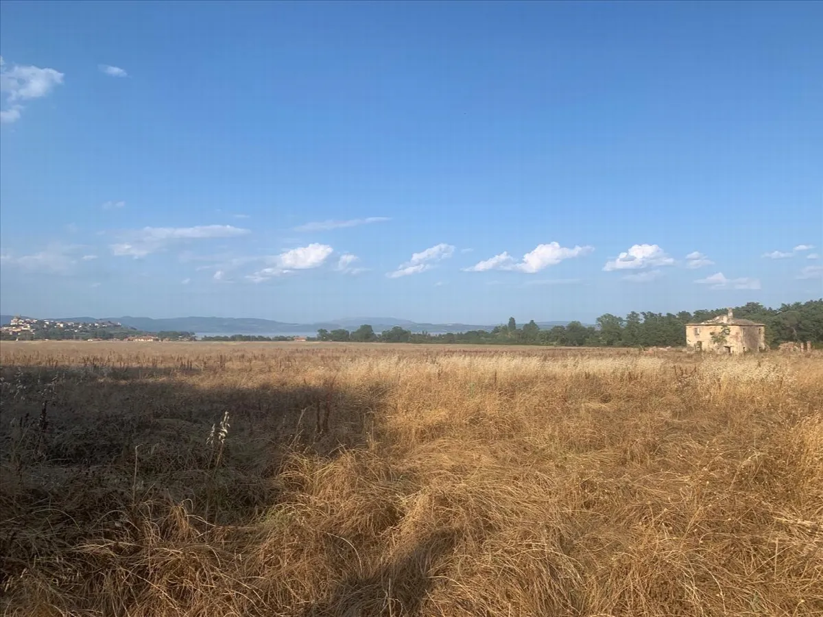 Rustico/Casale in vendita a Castiglione del Lago - foto 3