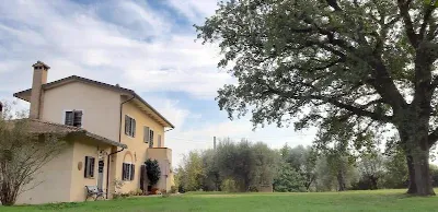 Rustico/Casale in vendita a Castiglione de... - foto 1
