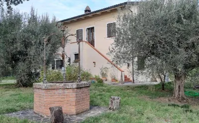 Rustico/Casale in vendita a Castiglione de... - foto 2