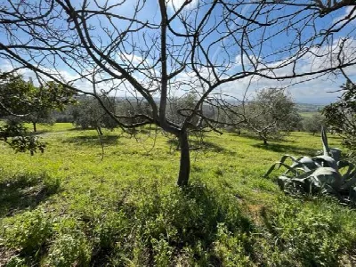 Casa Indipendente in vendita a Castiglione... - foto 10