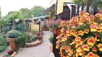 Casa Indipendente in vendita a Castiglione... - foto 1