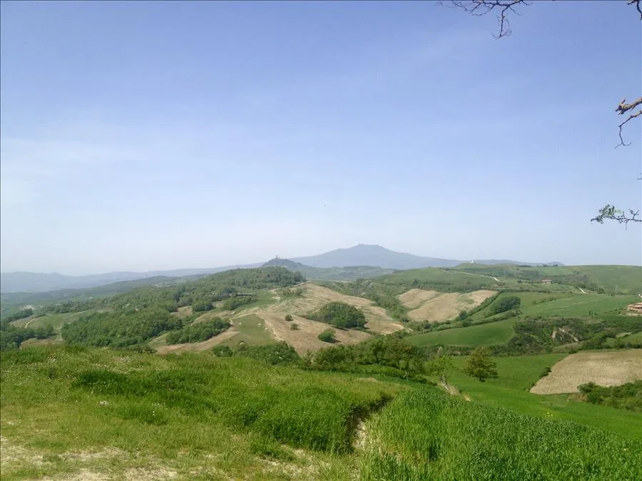Rustico/Casale in vendita a Radicofani - foto 4