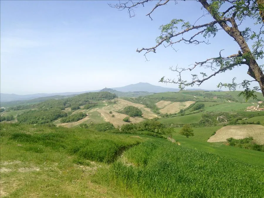 Rustico/Casale in vendita a Radicofani - foto 5