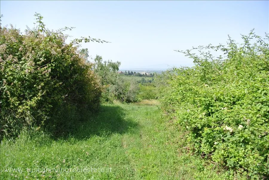 Rustico/Casale in vendita a Sarteano - foto 3