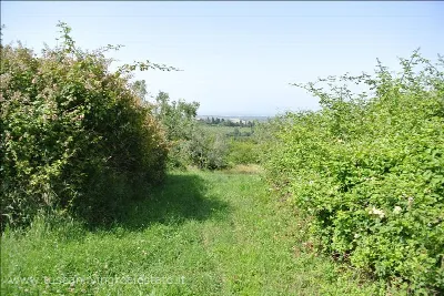 Rustico/Casale in vendita a Sarteano - foto 3