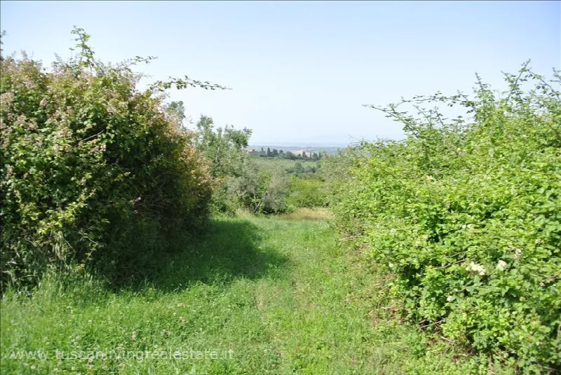 Rustico/Casale in vendita a Sarteano - foto 3