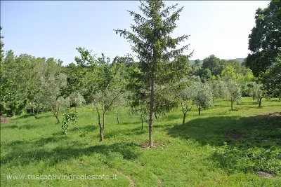 Rustico/Casale in vendita a Sarteano - foto 7