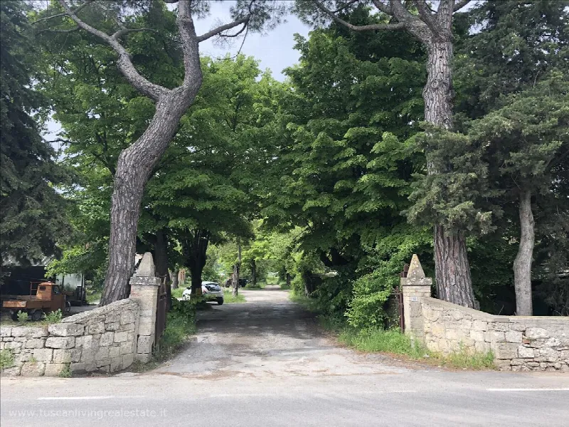 Rustico/Casale in vendita a Sarteano - foto 4