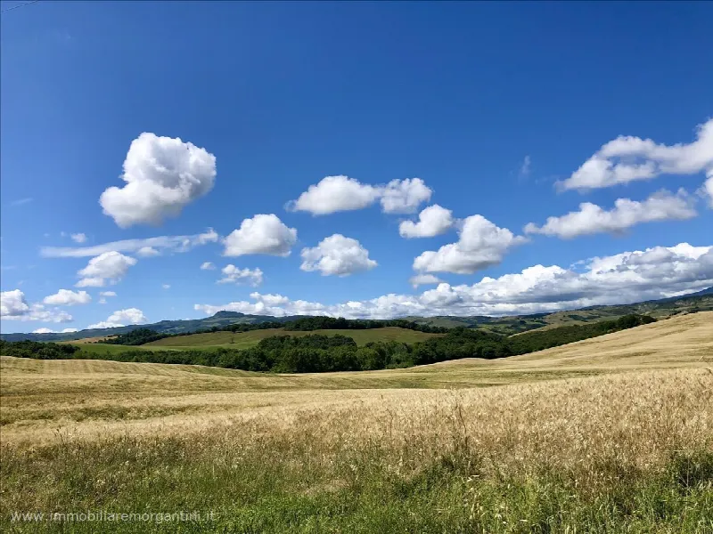 Rustico/Casale in vendita a Pienza - foto 4
