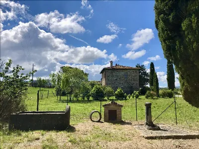 Rustico/Casale in vendita a Pienza - foto 5