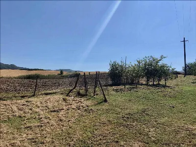 Rustico/Casale in vendita a Pienza - foto 8