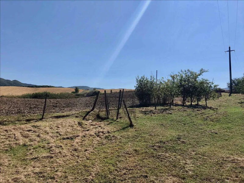 Rustico/Casale in vendita a Pienza - foto 8
