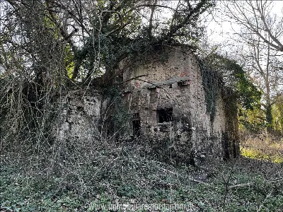 Rustico/Casale in vendita a Sarteano - foto 7