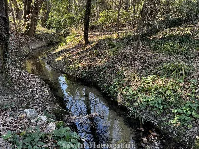 Rustico/Casale in vendita a Sarteano - foto 8