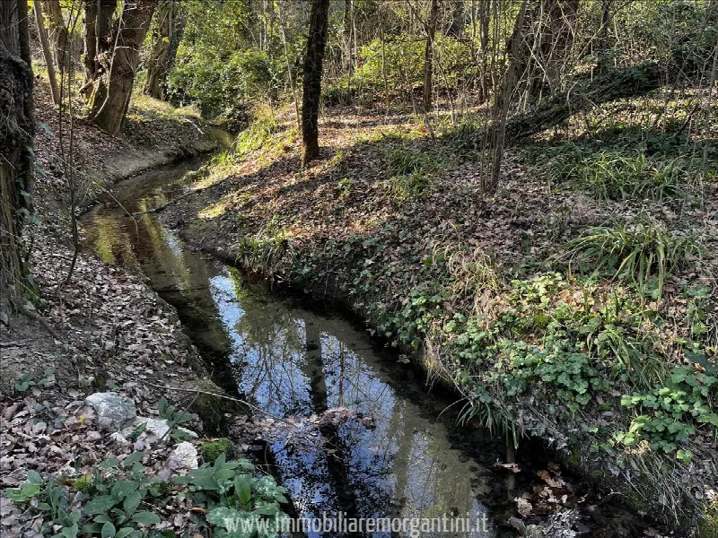 Rustico/Casale in vendita a Sarteano - foto 8