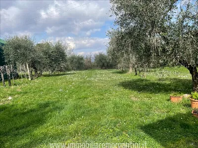 Rustico/Casale in vendita a Sarteano - foto 4