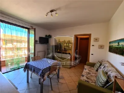Appartamento in vendita a Sovicille - foto 3
