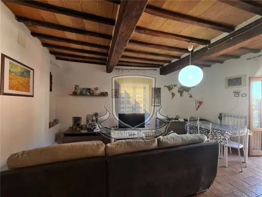 Appartamento in vendita a Sovicille - foto 5
