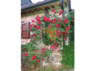Rustico/Casale in vendita a Chiusdino - foto 3