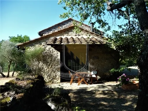 Rustico/Casale in vendita a Chiusdino - foto 5
