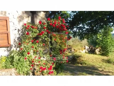 Rustico/Casale in vendita a Chiusdino - foto 6